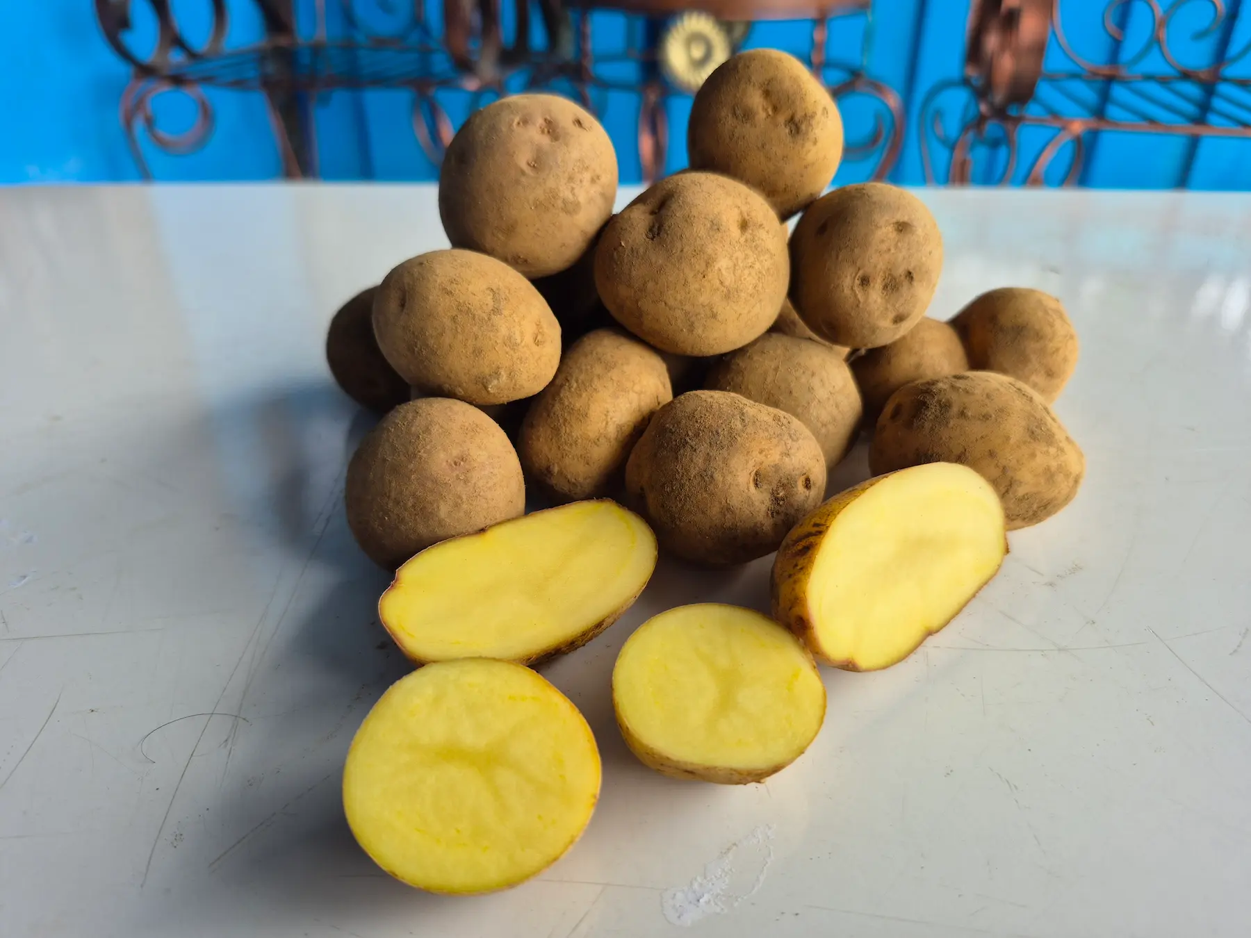 Grosir kentang Dieng kualitas super daging warna kuning mentega, tekstur pulen