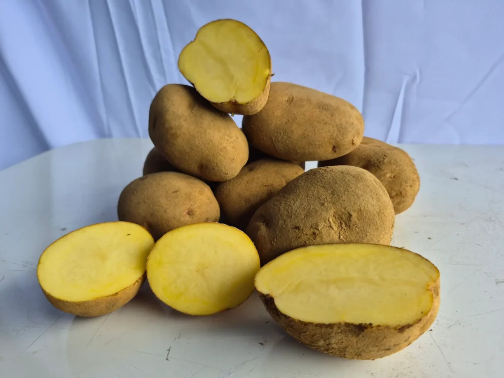 Kentang Dieng Asli Grade B Ukuran Standar Besar Daging Kuning