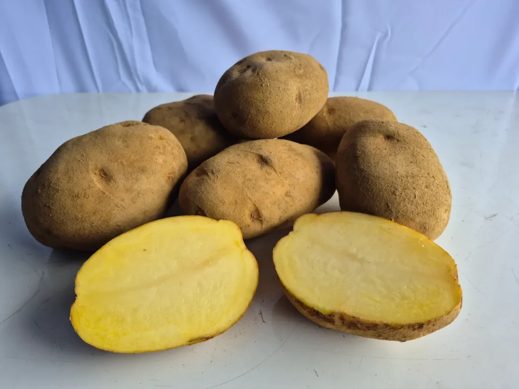 Kentang Dieng Asli Grade A Ukuran Jumbo Daging Kuning Mentega